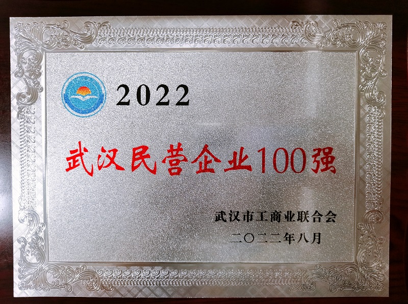 武漢民營百強(qiáng)39