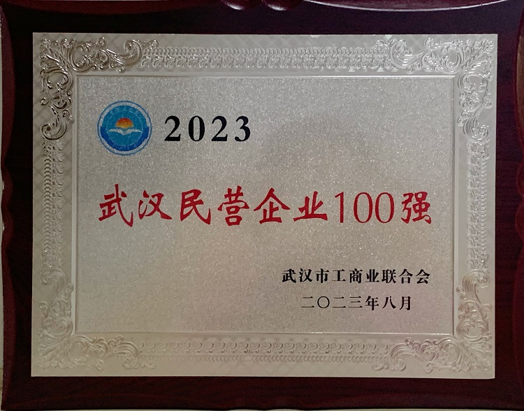 喜訊！我司再度入選武漢民營(yíng)百?gòu)?qiáng)榜